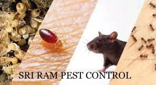 SRI RAM PEST CONTROL Rajahmundry in Nehru nagar