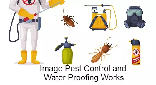 Image Pest Control and Water Proofing Works in Innespeta