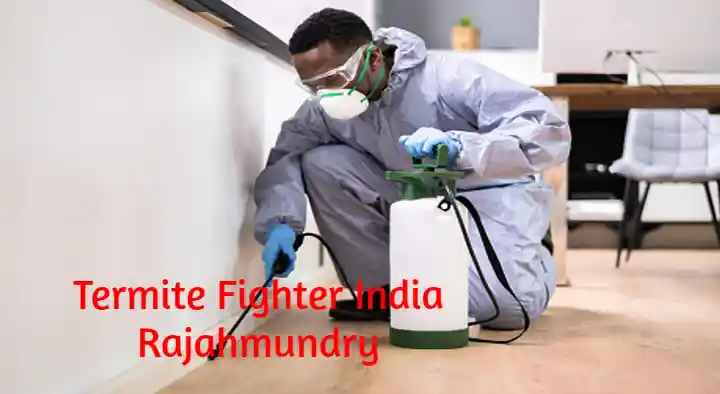 Termite Fighter India in Main road