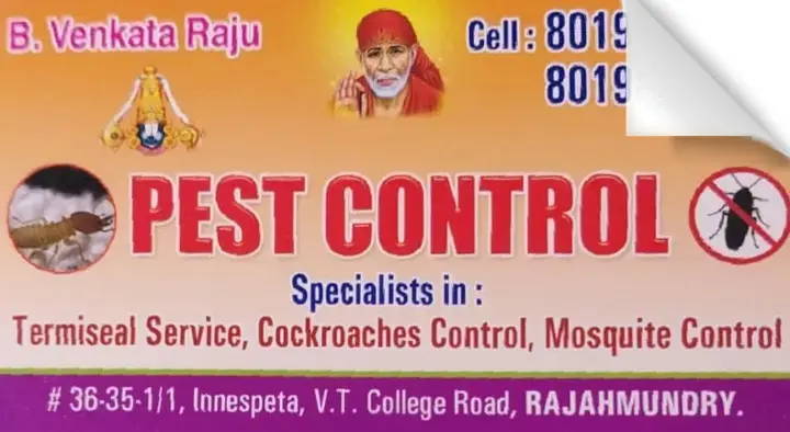 Pest Control in Innespeta