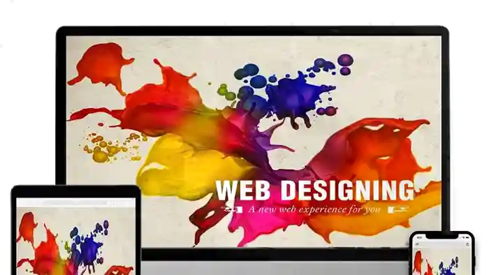 Freelance Web Designer in Pothana Colony