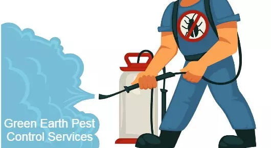 Green Earth Pest Control Services in Old Alwal