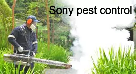 Sony pest control in Trimulgherry