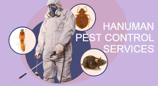 HANUMAN PEST CONTROL SERVICES in Gara veedhi junction