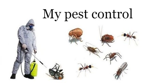 My Pest Control in Ranasthali New Colony