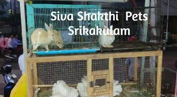 Siva Shakthi  Pets in Mehar Nagar