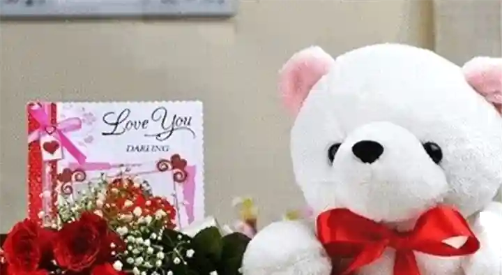Venus Gifts and Flowere Shop in Manasa Nagar