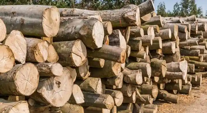 Sri Vinayaka Chaitanya Timber Depot in Srinavasapuram