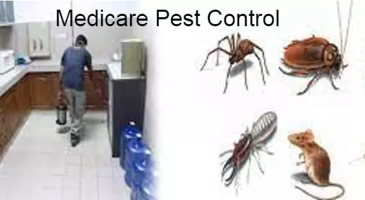 Medicare Pest Control in Sri Krishna Nagar