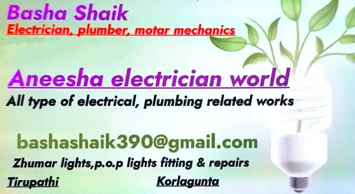 Aneesha Electrician Works in Korlagunta