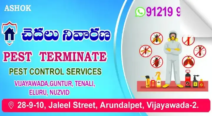 Pest Terminate Pest Control Services in Arundelpet