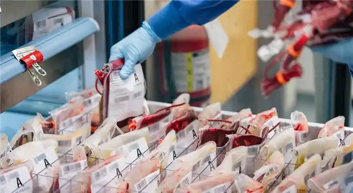 Vijaya Sri Blood Bank in Moghalrajpuram