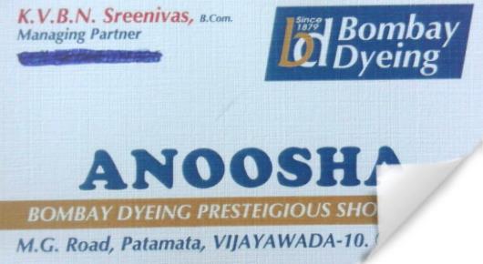 Anoosha in Patamata