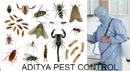 ADITYA PEST CONTROL in PORANKI