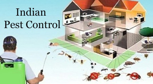 Indian Pest Control in Governor Peta