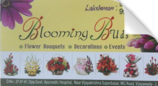 Biooming Buds in Governorpet