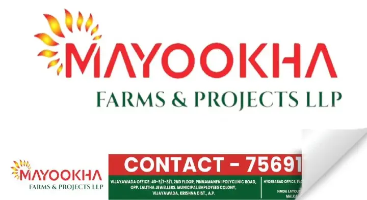 Mayookha Farms and Projects LLP in Main Road