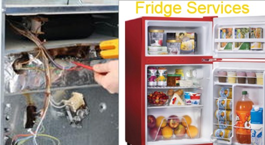 Fridge Services in marripalem