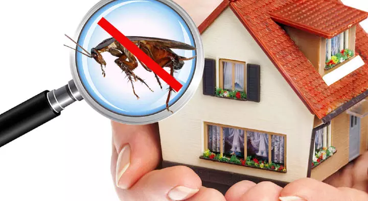 Grace Pest Management Solutions in Pendurthi