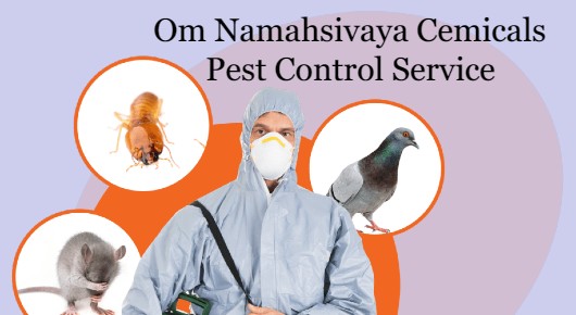 Om Namahsivaya Cemicals  Pest Control Service in Pendurthi