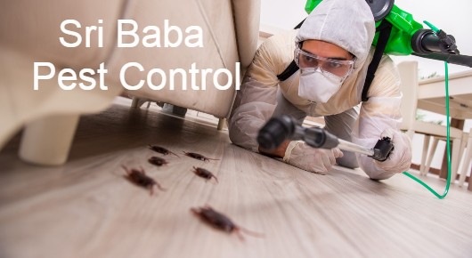 Sri Baba Pest Control in Naidu Thota