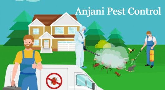 Anjani Pest Control in Maddilapalem