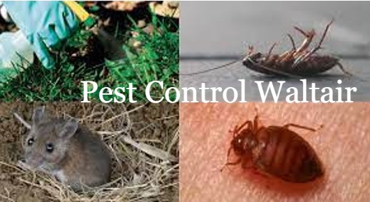 Pest Control Waltair in Seethammadhara