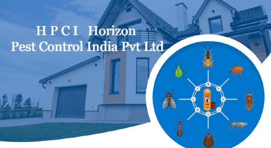 H P C I   Horizon Pest Control India Pvt Ltd in Vamsi Nagar Birla Jn
