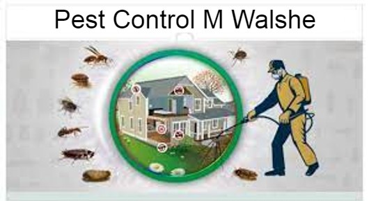 Pest Control M Walshe in Dwarakanagar