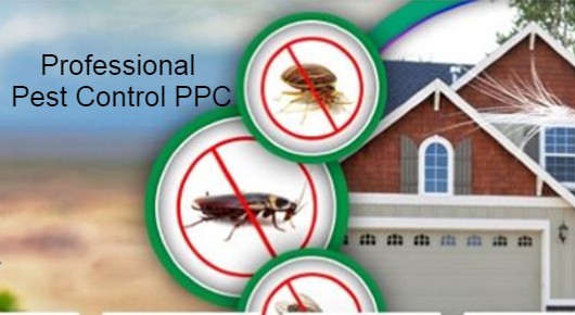 Professional Pest Control PPC in H B Colony