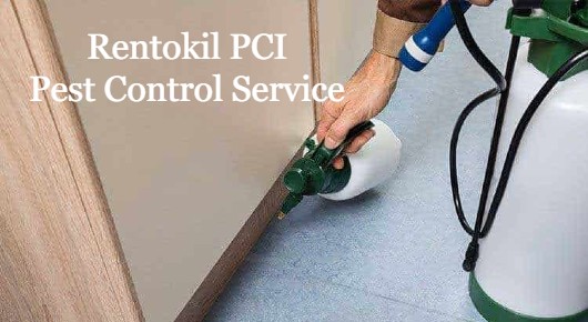 Rentokil PCI Pest Control Service in Dwarakanagar