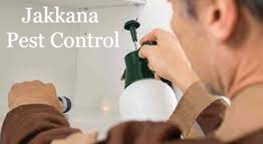 Jakkana Pest Control in Araku