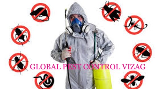GLOBAL PEST CONTROL VIZAG in Sriharipuram