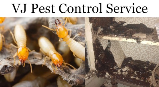 VJ Pest Control Service in Srinagar