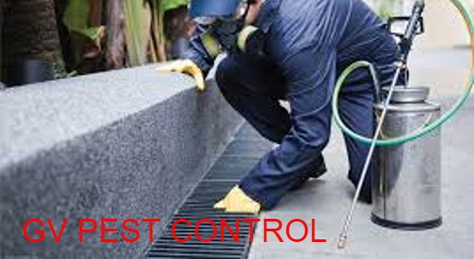 GV PEST CONTROL in Arilova