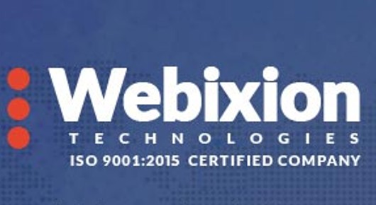 Webixion Technologies Pvt Ltd in Murali Nagar