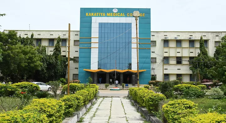 Kakatiya Medical College in Rangampet Street