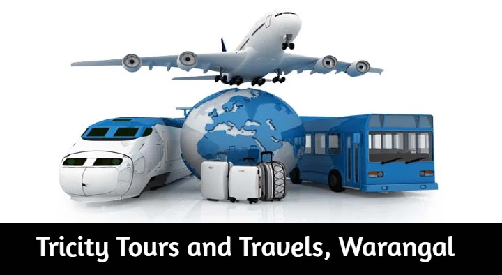 Tricity Tours and Travels in LB Nagar