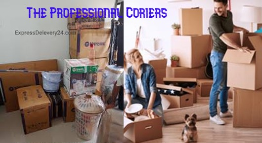 The Professional Couriers in Bhimavaram