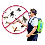 pest control services, Pest Control